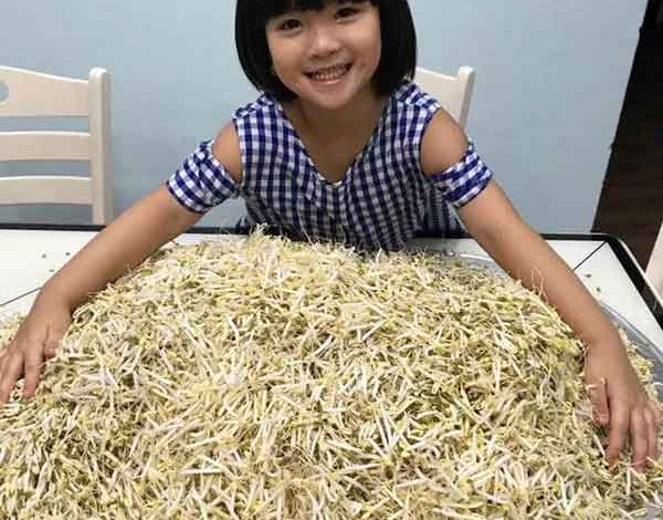 Tổng hợp các bài văn mẫu lớp 6: viết bài văn kể lại một trải nghiệm của em đã trải qua Tổng hợp các bài văn mẫu lớp 6: viết bài văn kể lại một trải nghiệm của em đã trải qua