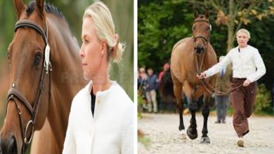 Tragedy In The Equestrian World: Video Of Georgie Campbell’s Fatal Accident